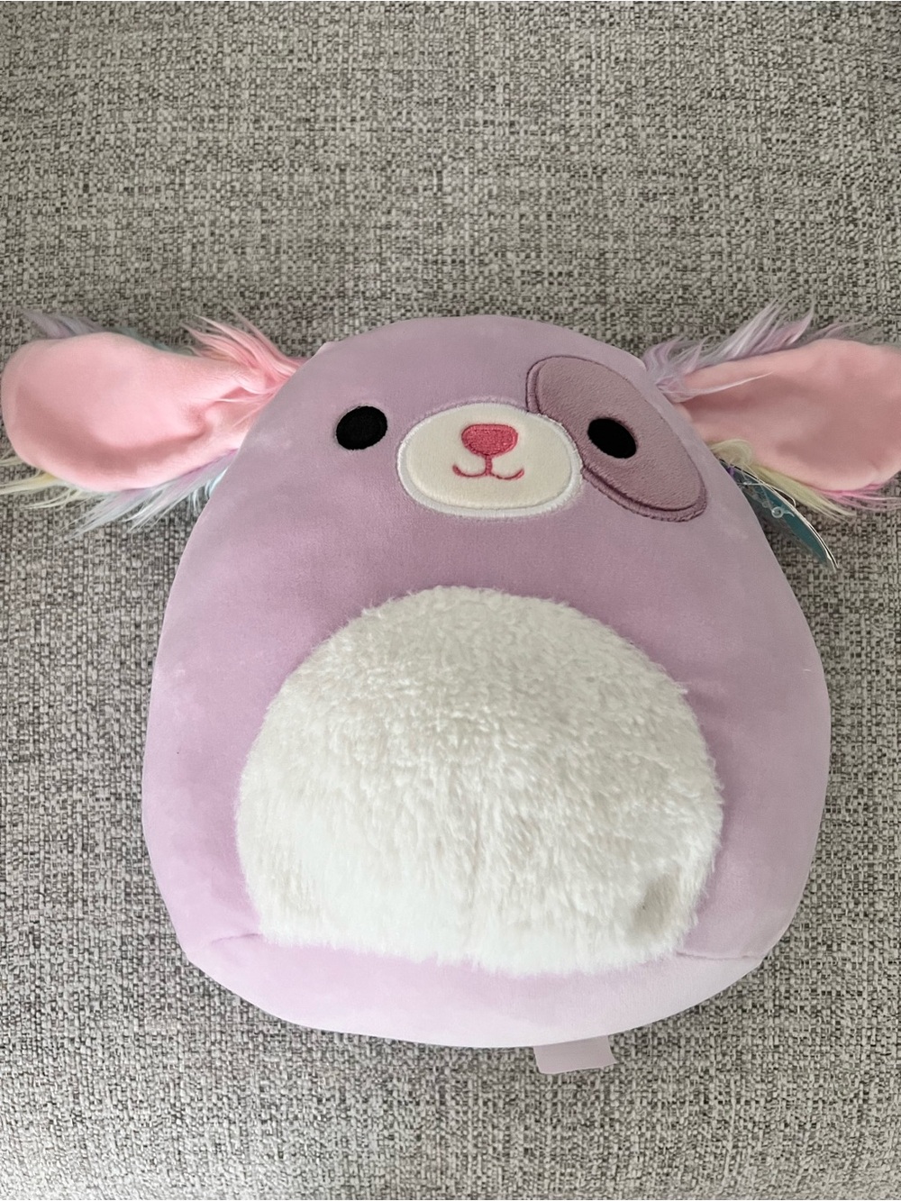 Squishmallow Plush Pet Shop Squad 8” Barb the Dog Stuffed Animal